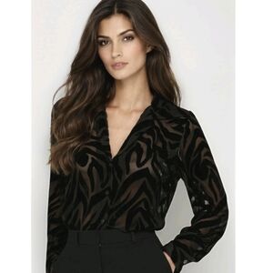 Anine Bing Mylah Top Black Zebra Velvet Burnout Blouse Sheer Buttons Silk Sz XS